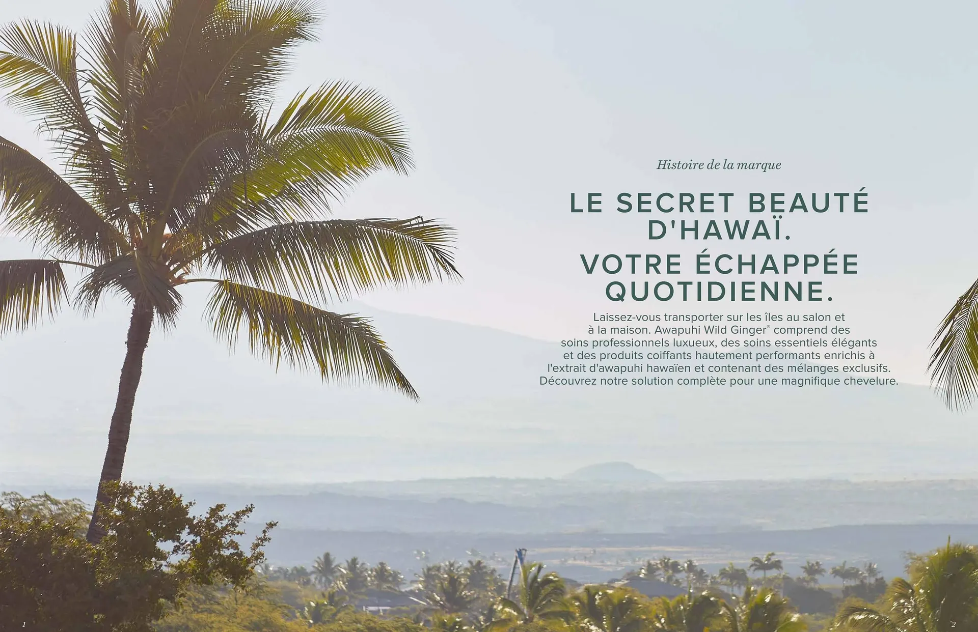 Pro-Duo folder van 1 maart tot 30 april 2024 - folder pagina 22