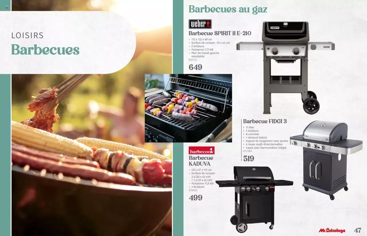 Mr Bricolage - Catalogue Jardin van 17 april tot 31 december 2024 - folder pagina 24