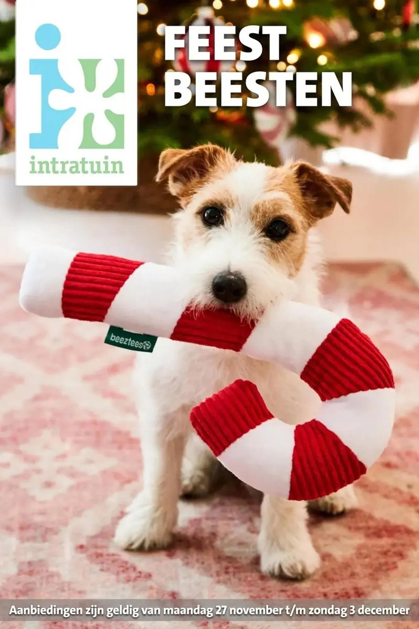 Intratuin Folder van 27 november tot 28 november 2023 - folder pagina 1