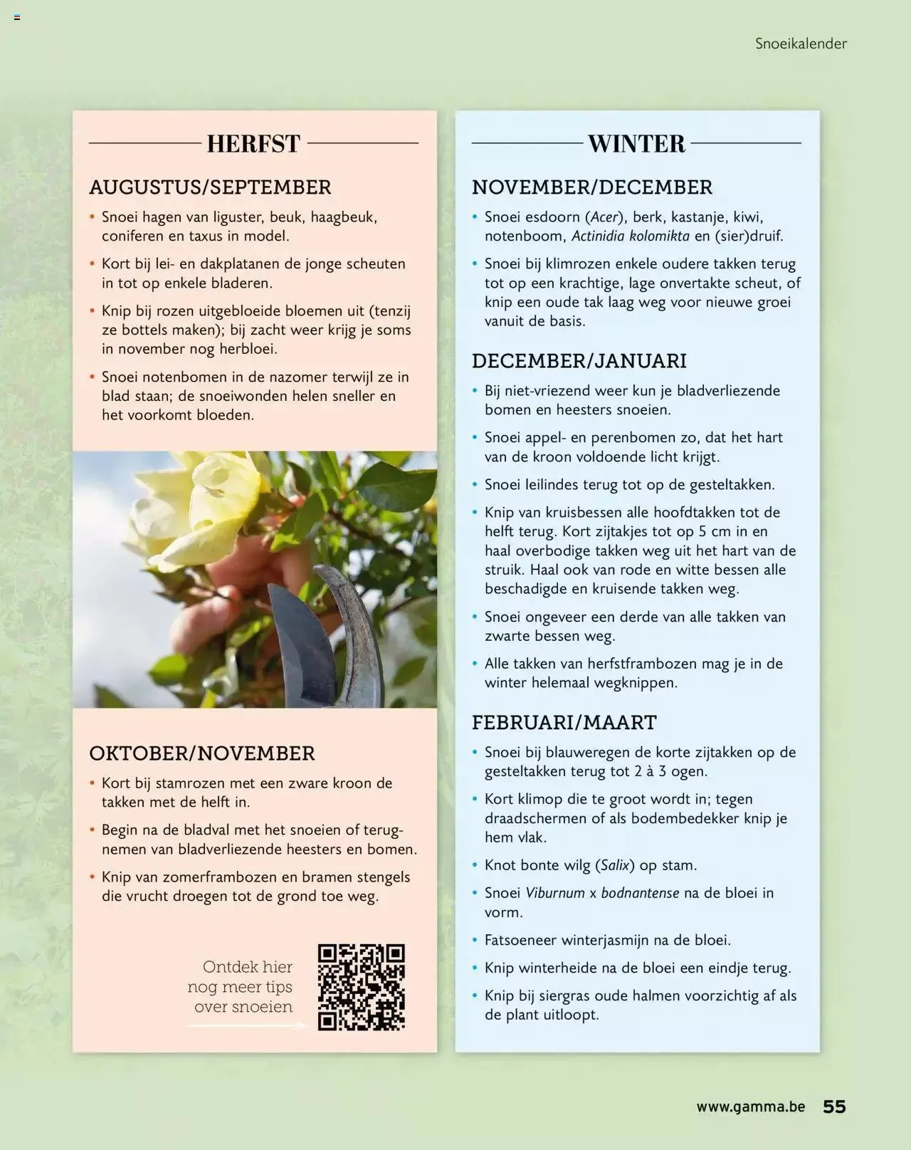 GAMMA tuinmagazine 2022 van 22 maart tot 31 december 2023 - folder pagina 55