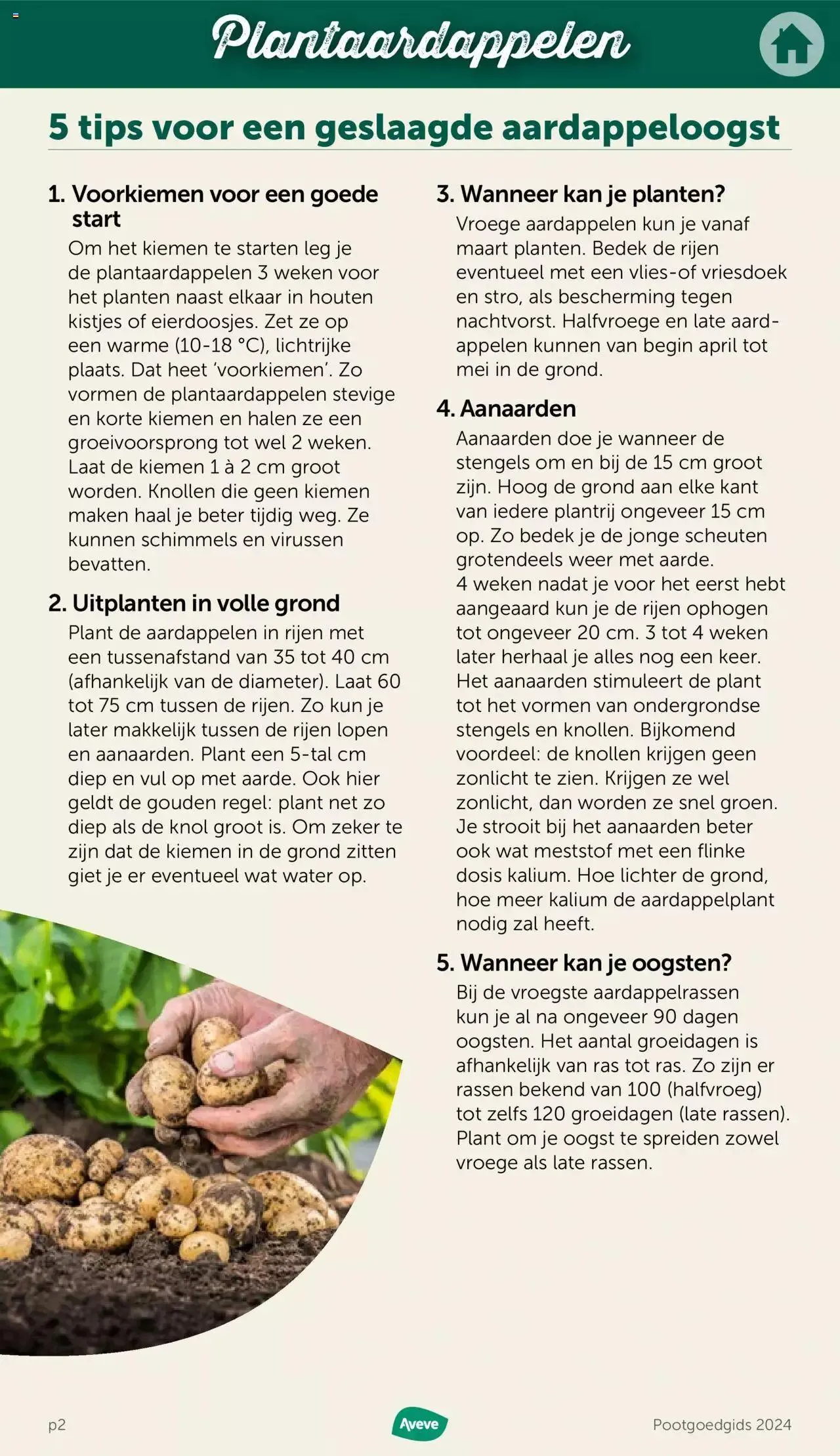 Aveve - Pootgoedgids 2024 van 8 februari tot 13 februari 2024 - folder pagina 2