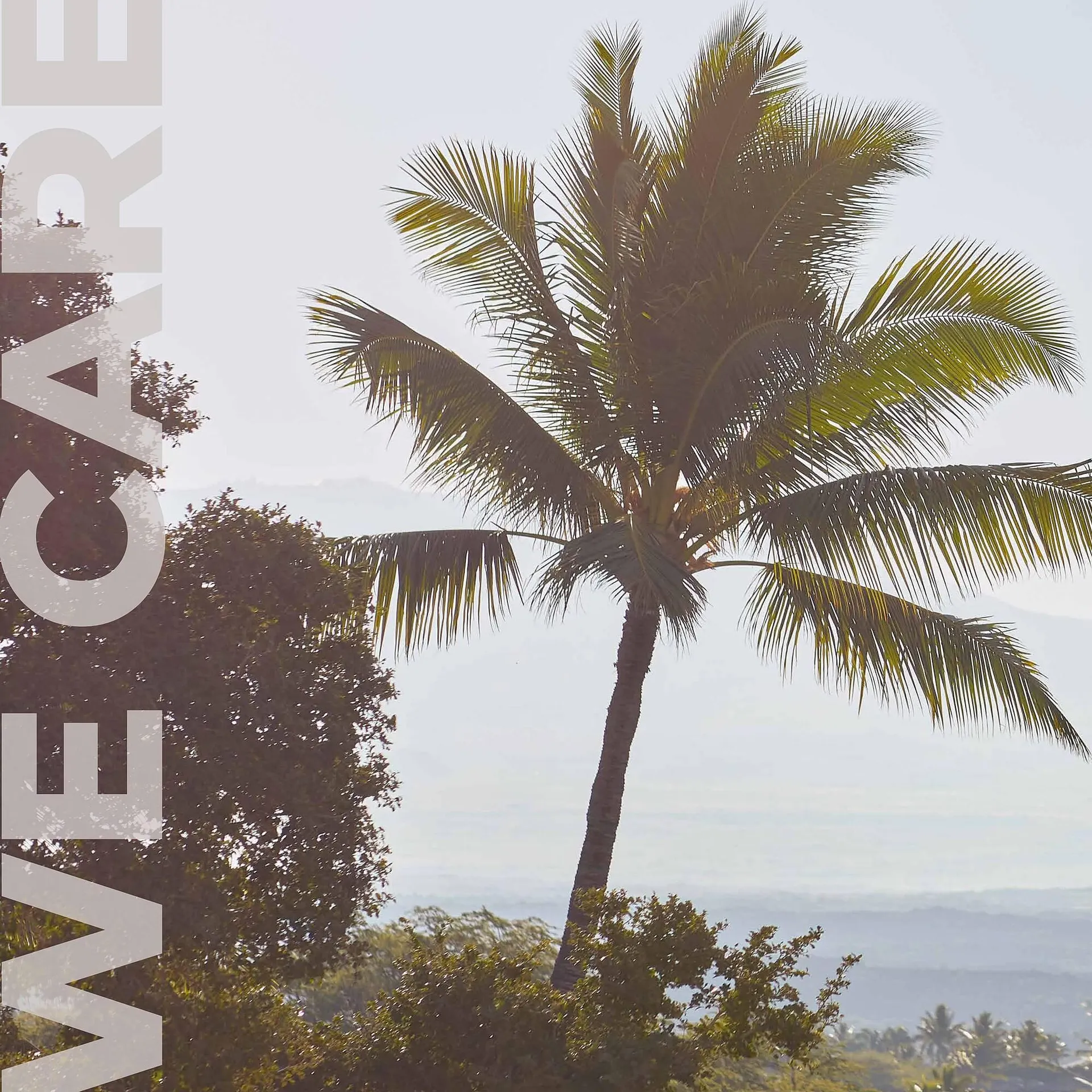 Pro-Duo folder van 1 maart tot 7 maart 2026 - folder pagina 2