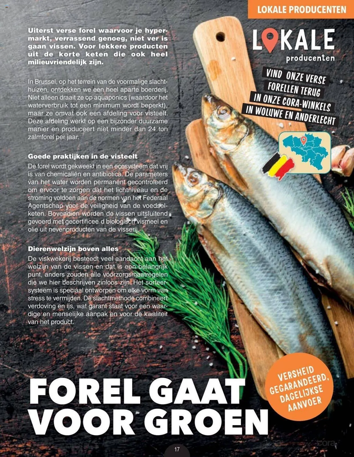 Cora folder tot 31.08.2023 van 19 mei tot 31 augustus 2023 - folder pagina 17