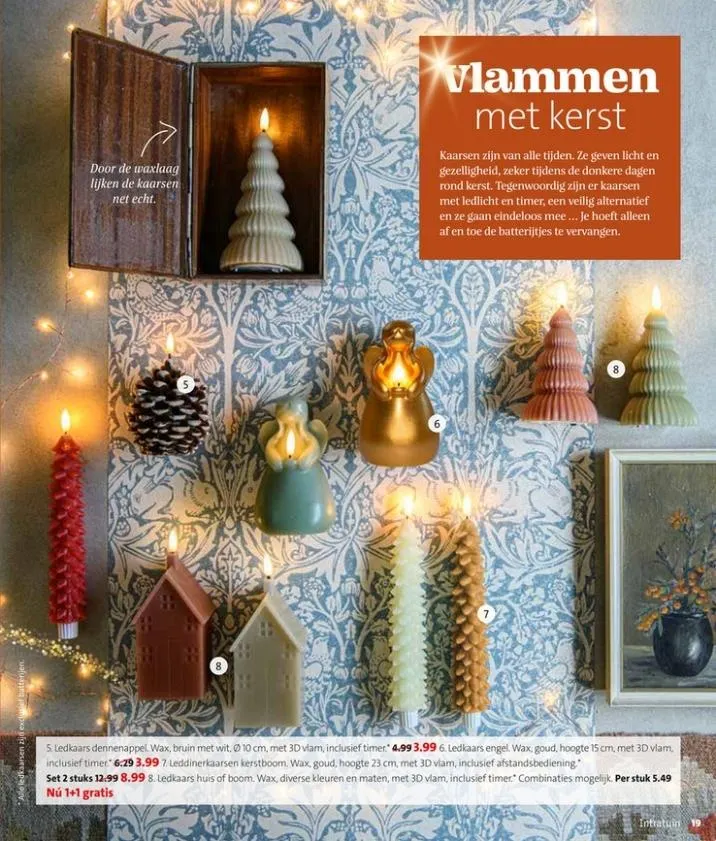 Intratuin folder tot 09.11.2025 van 1 november tot 9 november 2025 - folder pagina 19