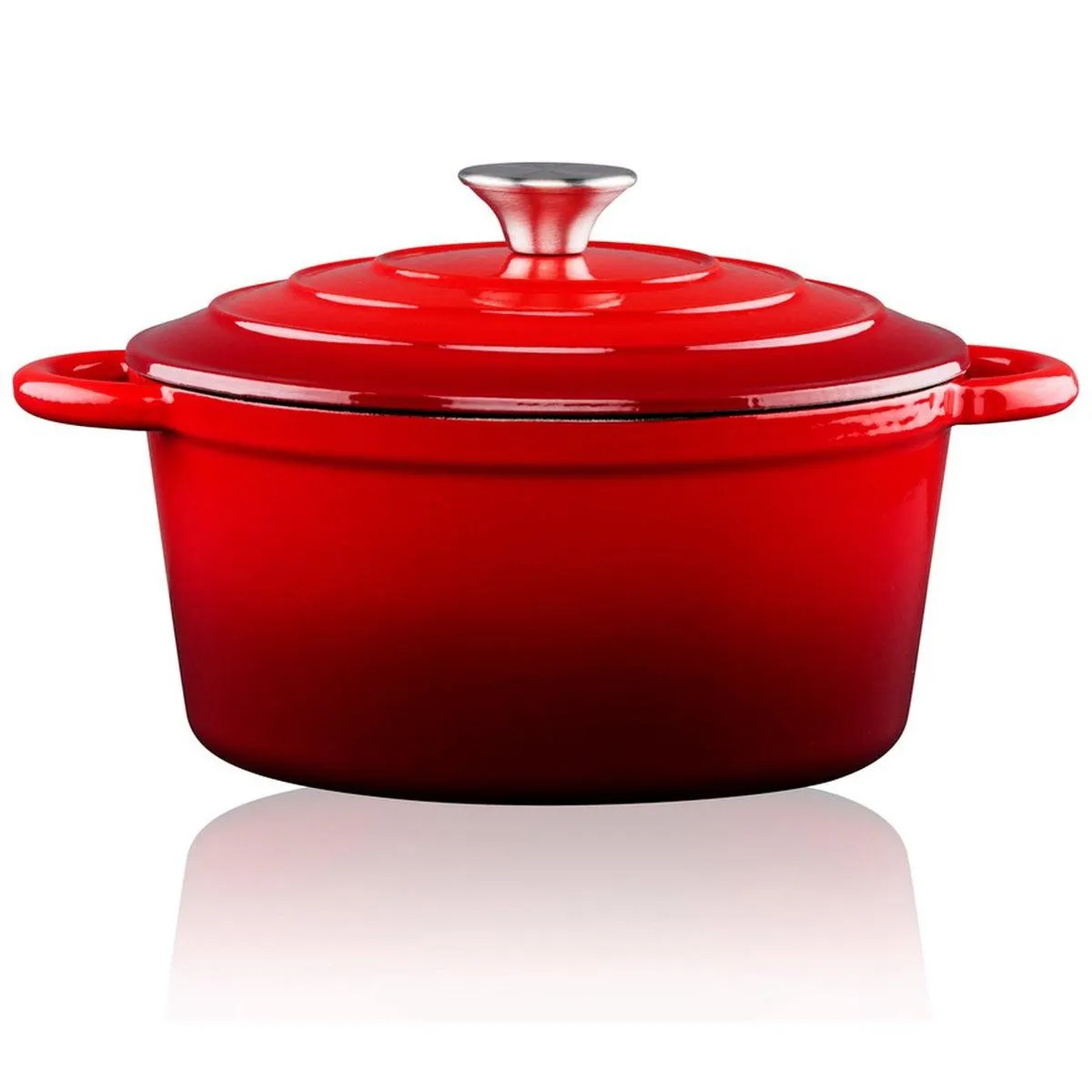 Braadpan gietijzer 24cm 3,8L Alpina