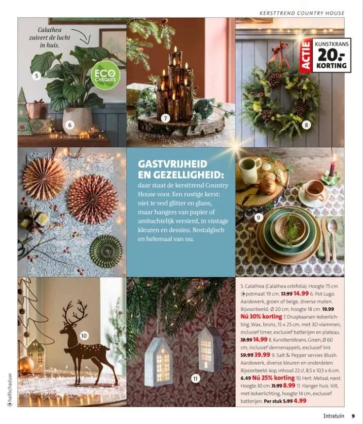 Intratuin folder tot 09.11.2025 van 1 november tot 9 november 2025 - folder pagina 9