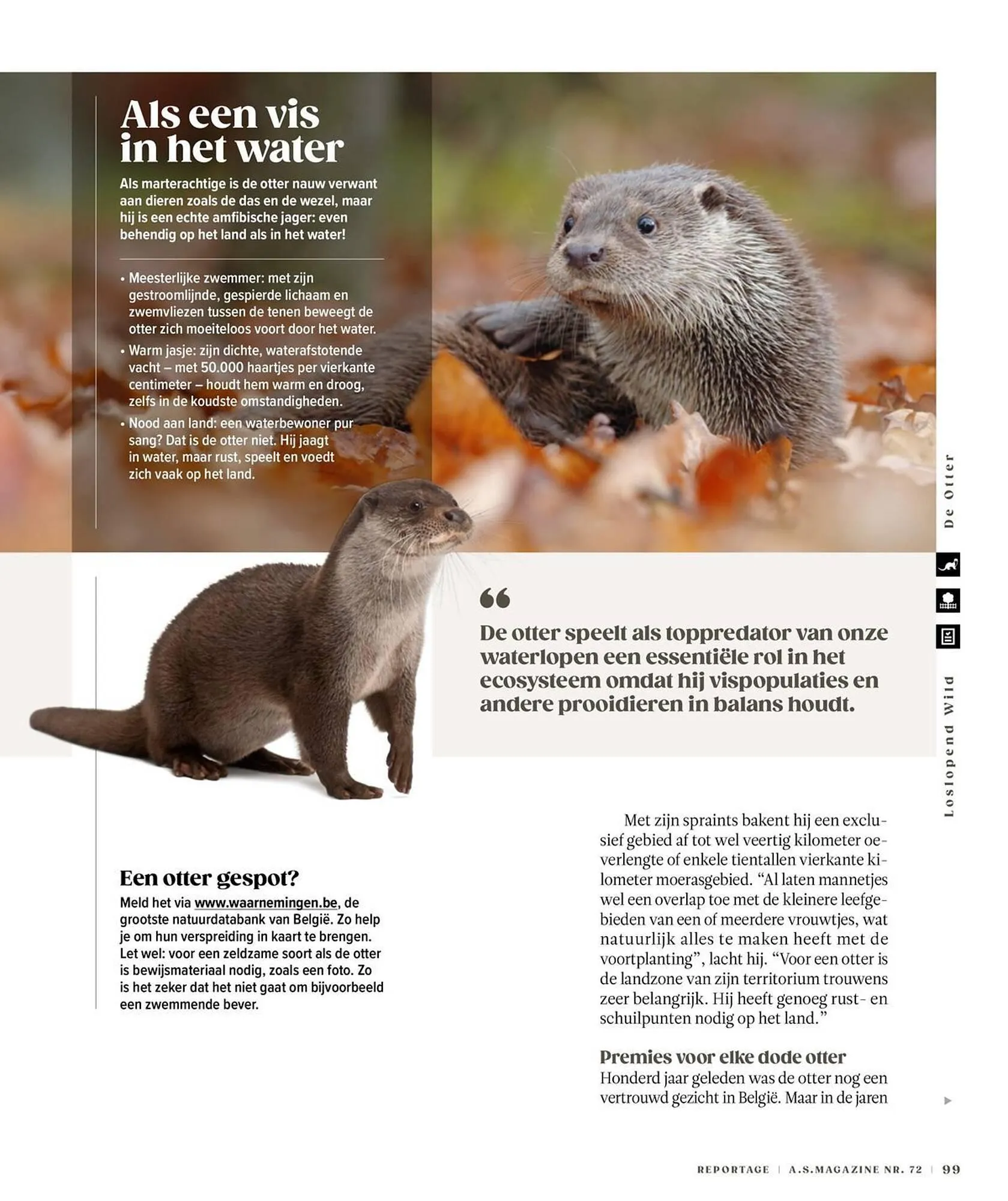 AS Adventure folder van 3 november tot 18 februari 2026 - folder pagina 99