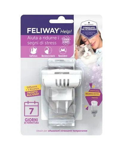 Feliway au secours !