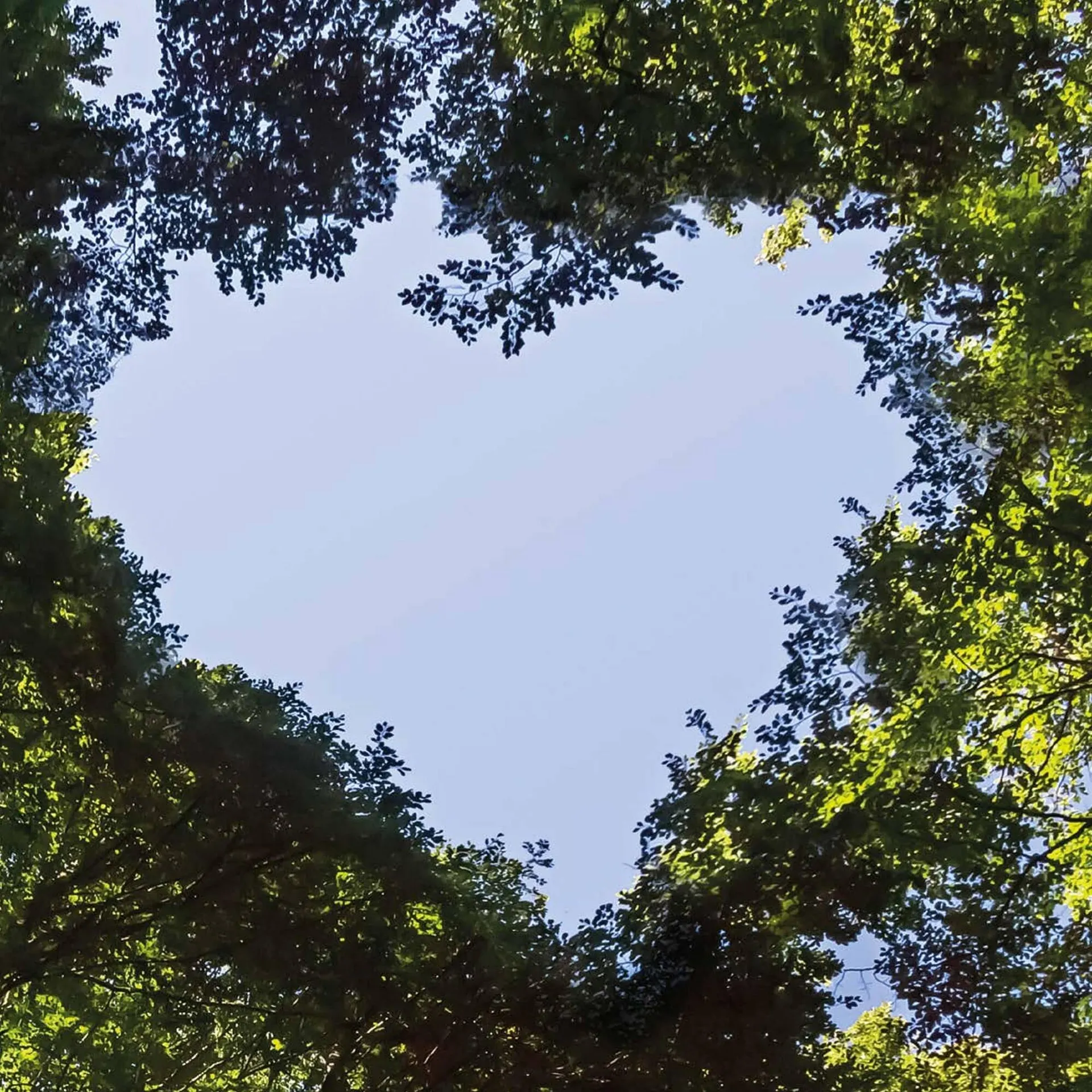 Pro-Duo folder van 1 maart tot 7 maart 2026 - folder pagina 15