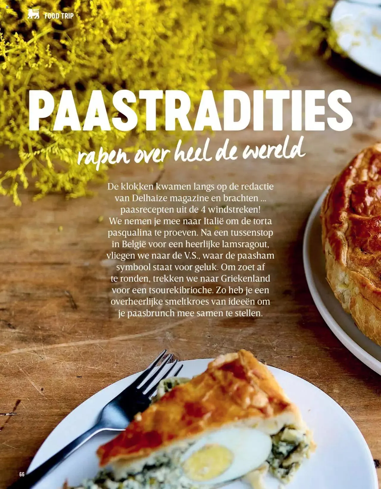 Delhaize Magazine N°69 NL van 31 mei tot 31 december 2023 - folder pagina 66
