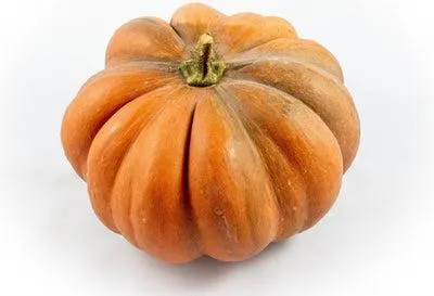 Muskaatpompoen (Cucurbita 'Muscat de Provence') D 30 cm