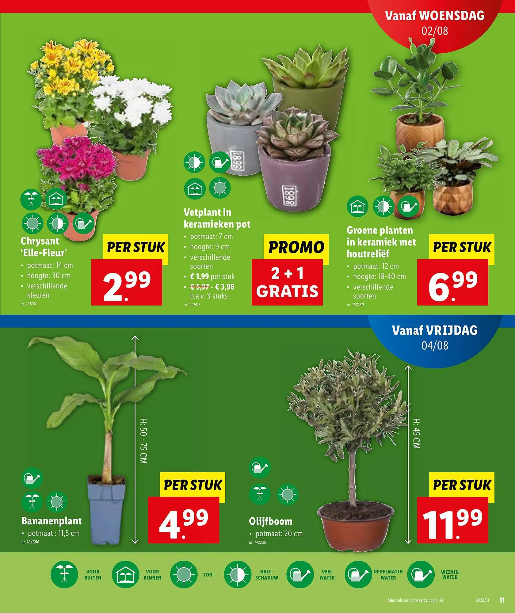 Lidl Folder van 26 juli tot 26 juli 2023 - folder pagina 13