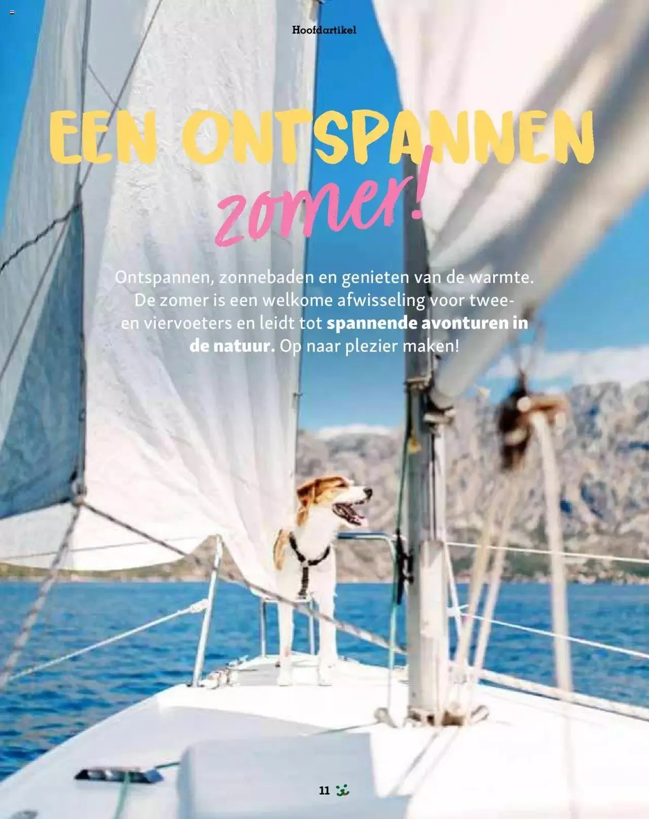 Maxi Zoo folder van 1 januari tot 31 december 2024 - folder pagina 11