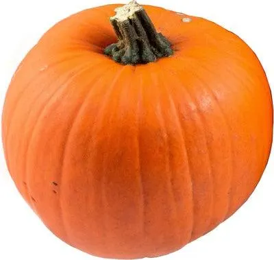 Sierkalebas (Cucurbita 'Half Pint') D 25 cm