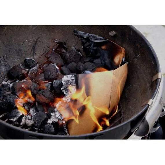 Easyburn Wegwerp Grill Starter 2Kg