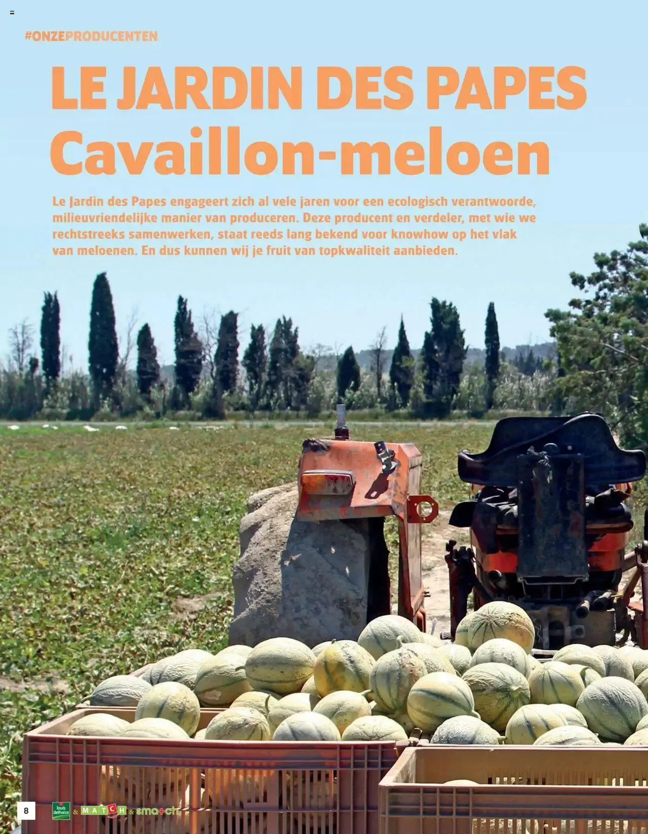 Match Supermarché - Het Mag Summer 2023 van 26 juni tot 31 december 2023 - folder pagina 8