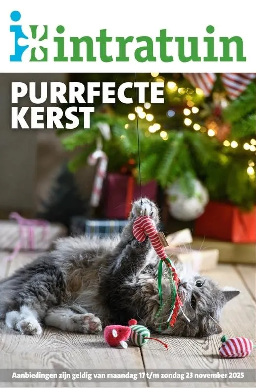 Intratuin folder tot 23.11.2025 - 0