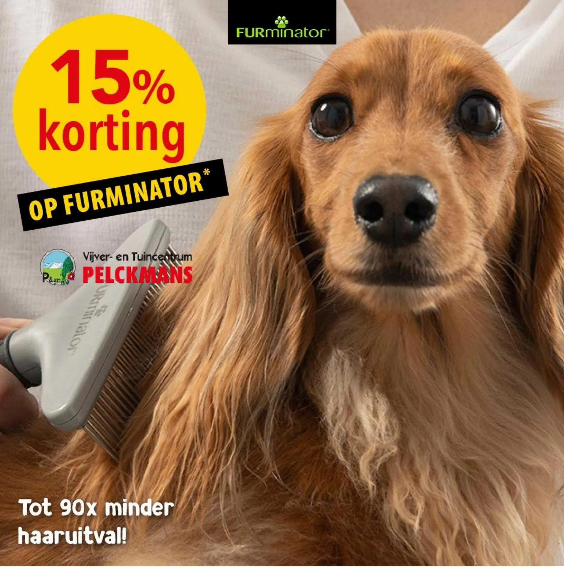 Pelckmans Folder - 1