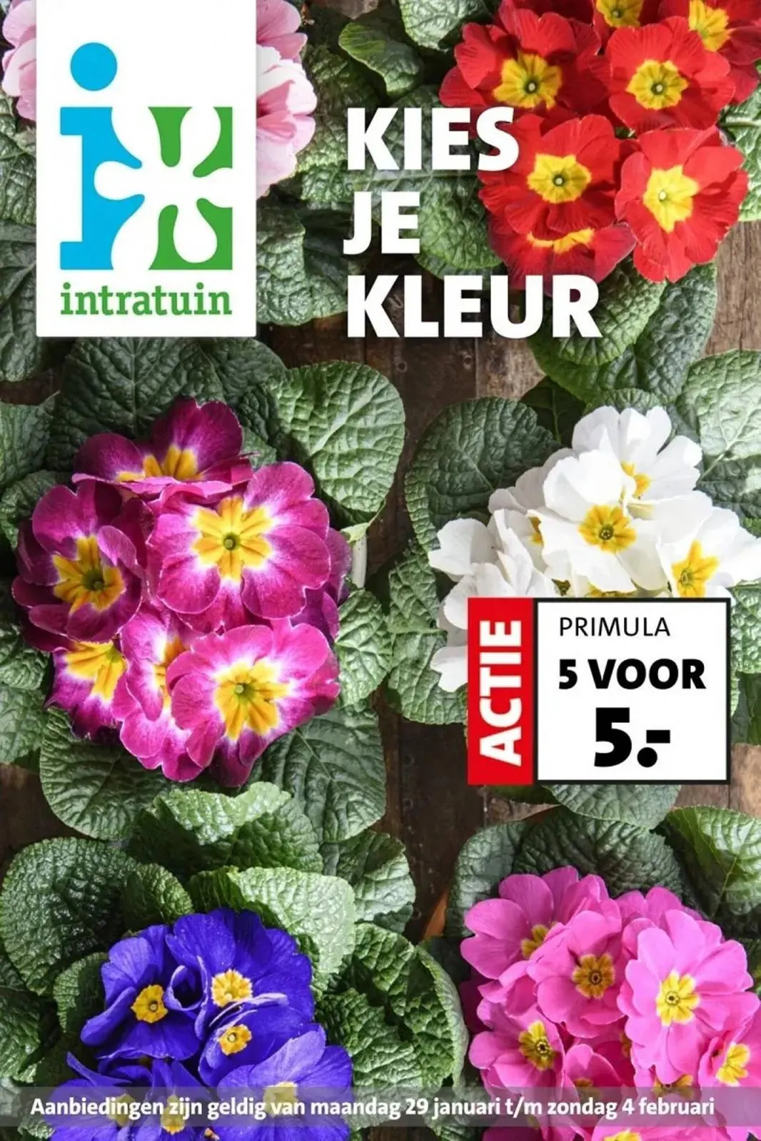 Intratuin folder tot 04.02.2024 van 29 januari tot 4 februari 2024 - folder pagina 