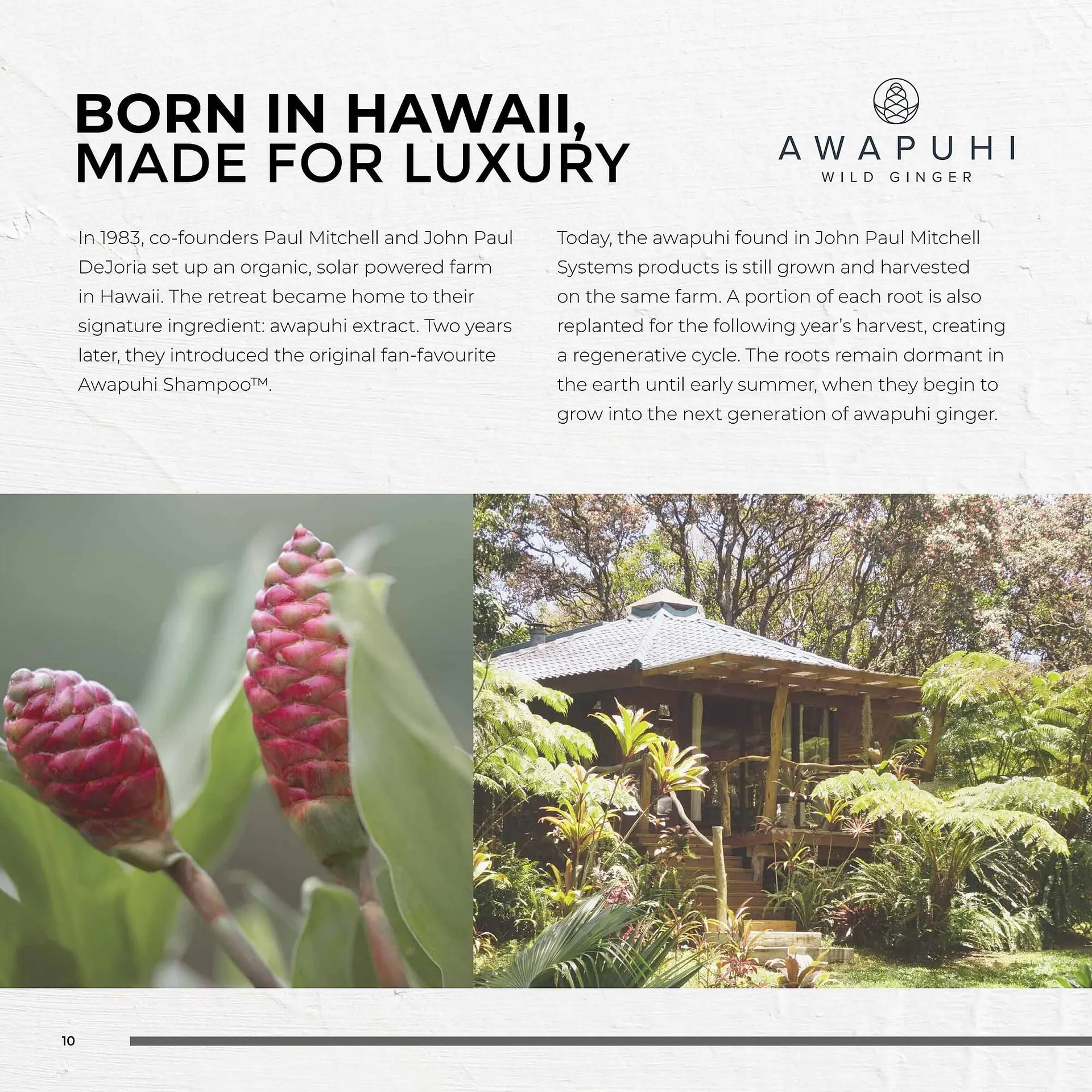 Pro-Duo folder van 1 maart tot 7 maart 2026 - folder pagina 10