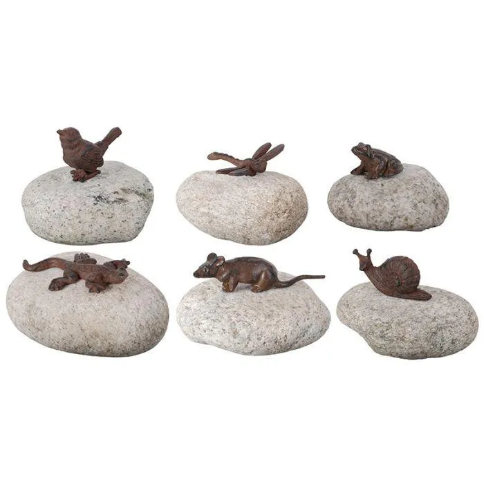 Animals on the rocks