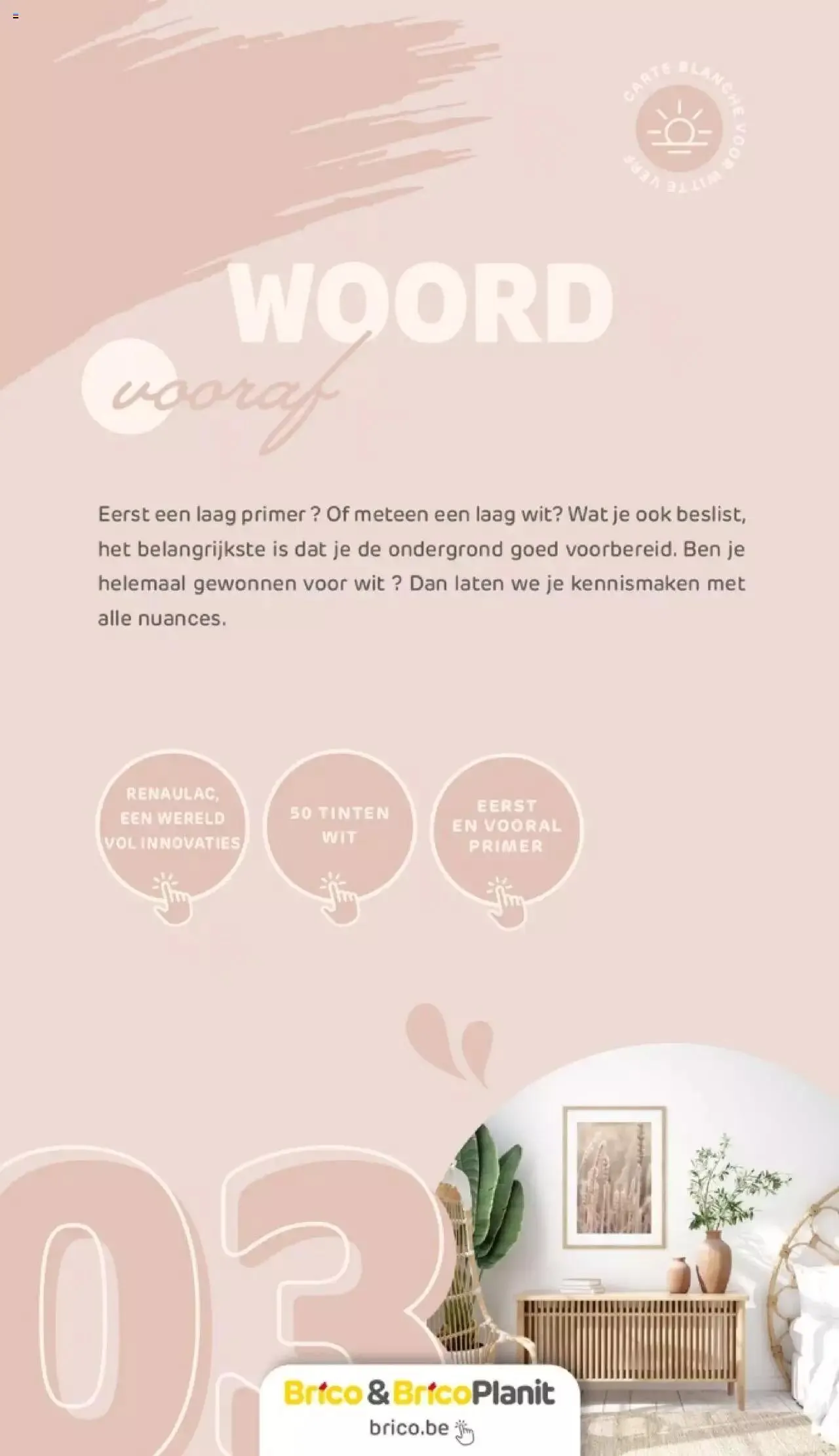 Brico - Verfmagazine van 14 juni tot 31 december 2023 - folder pagina 30