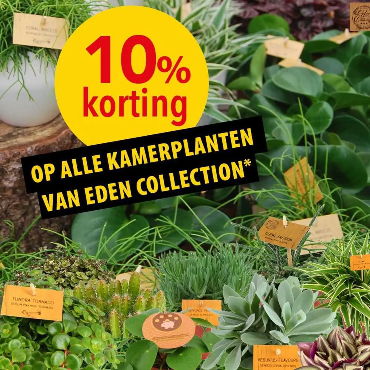 Pelckmans Folder van 22 november tot 28 november 2023 - folder pagina 2