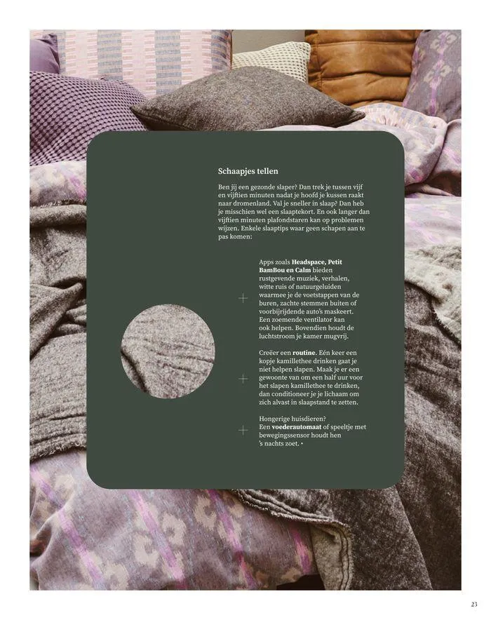 Thuisgevoel  van 17 oktober tot 31 januari 2025 - folder pagina 23