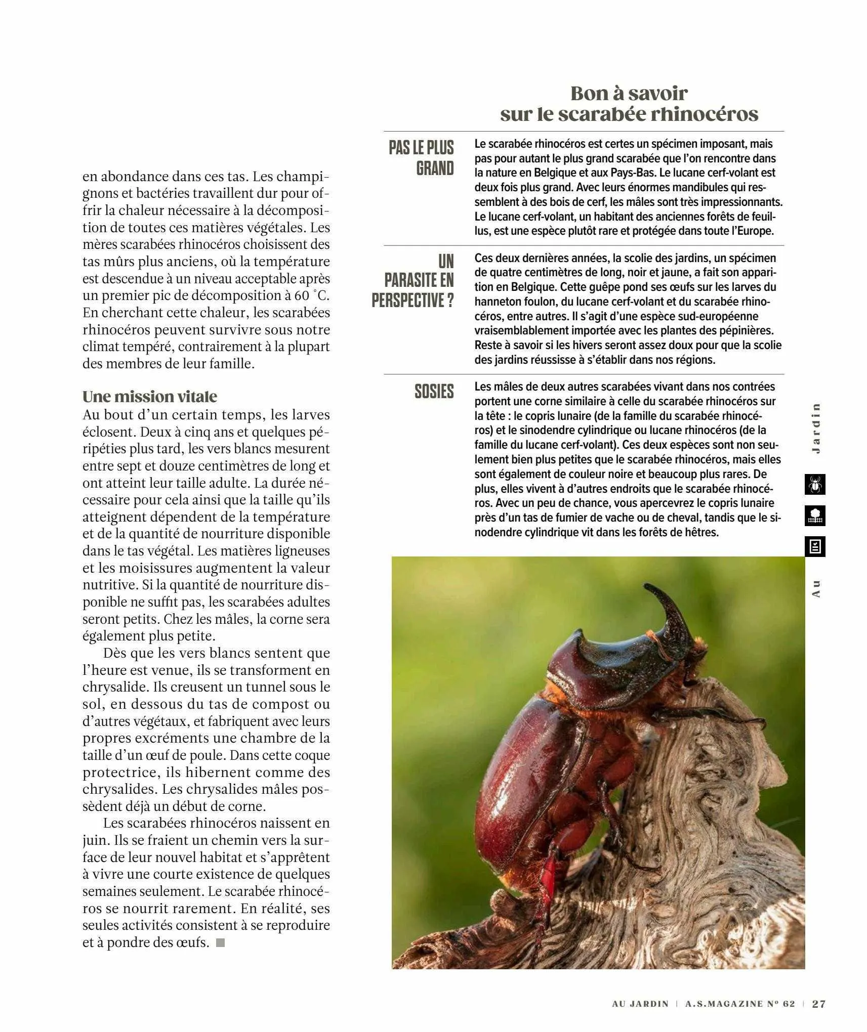 AS Adventure Folder van 30 augustus tot 31 augustus 2023 - folder pagina 27