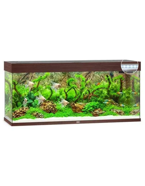 Juwel Aquarium Rio 240 Led 121x41x50 cm - Aquaria - Donker Hout