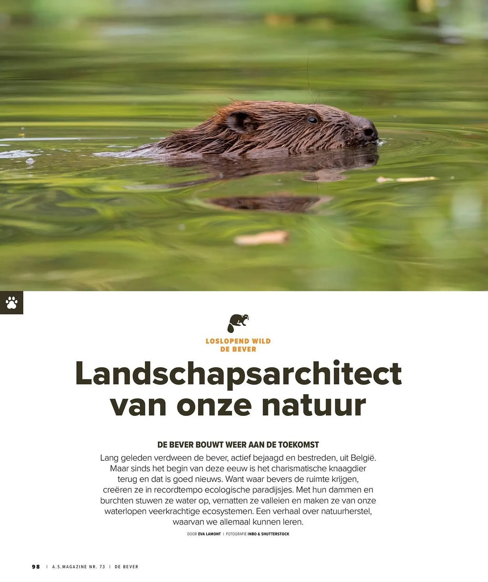 AS Adventure folder van 31 maart tot 30 april 2026 - folder pagina 98