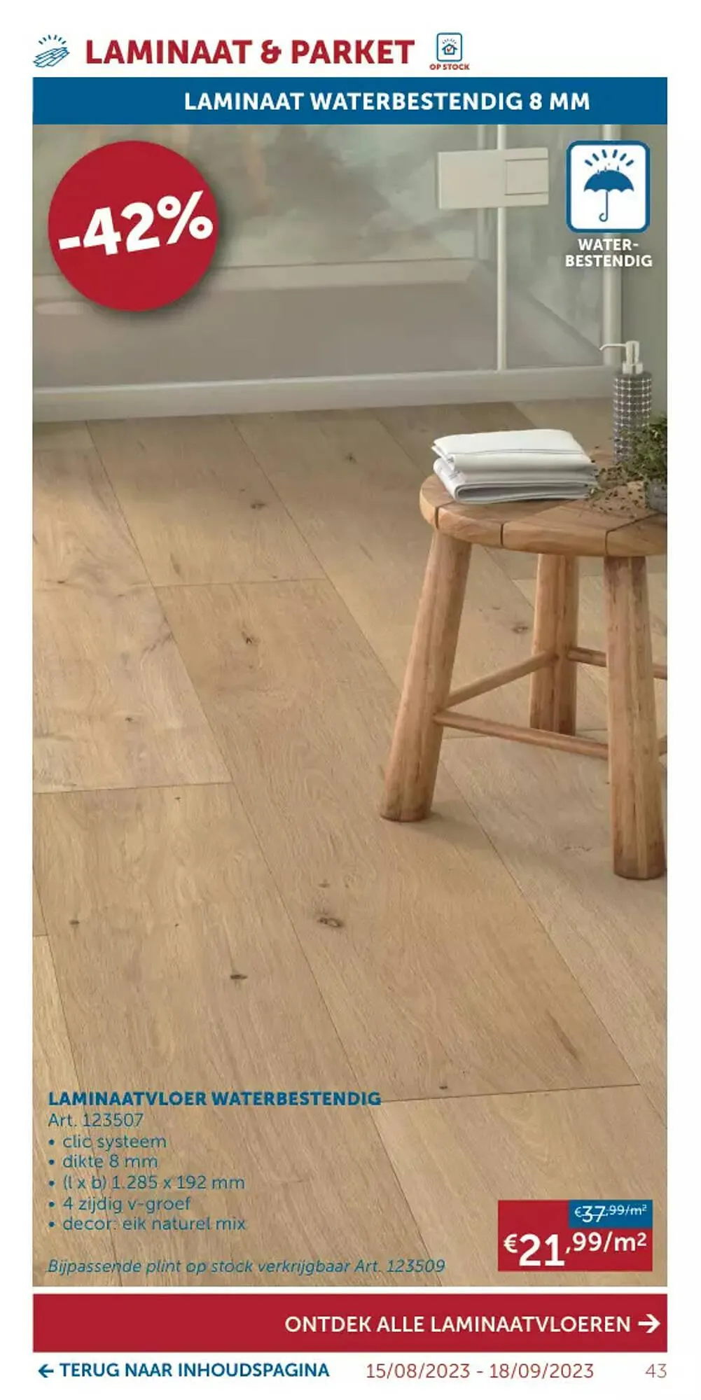 Zelfbouwmarkt folder van 15 augustus tot 18 september 2023 - folder pagina 43