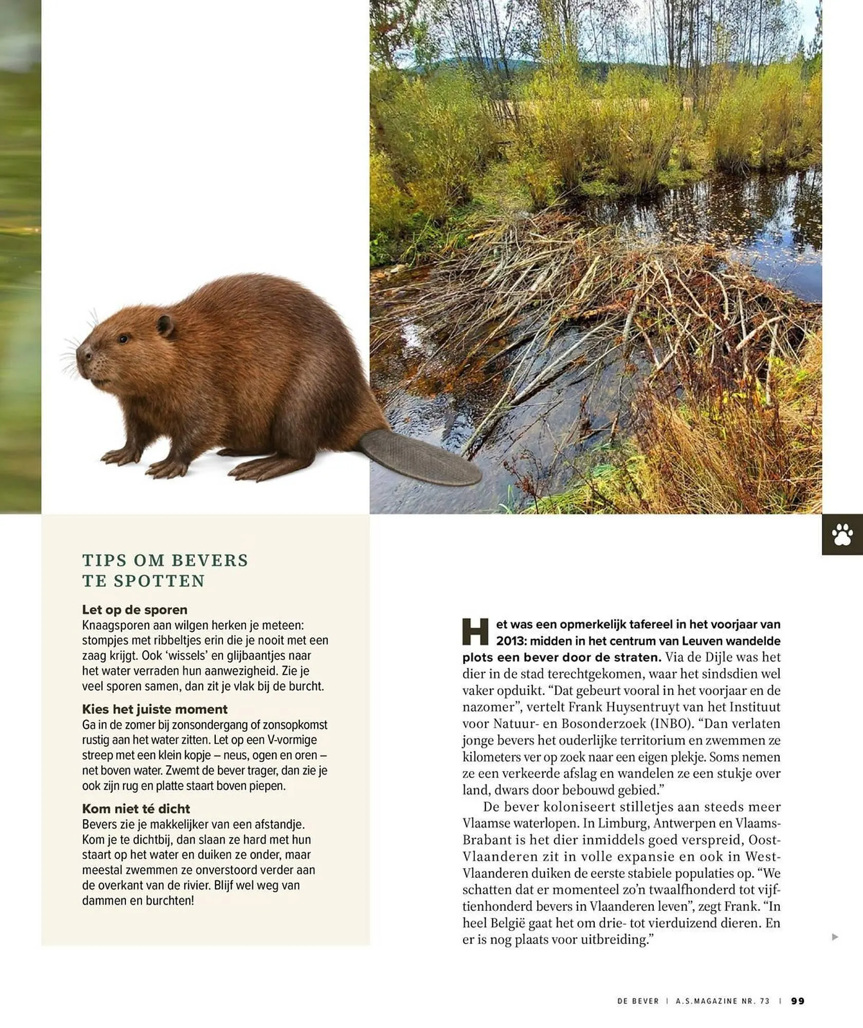 AS Adventure folder van 31 maart tot 30 april 2026 - folder pagina 99