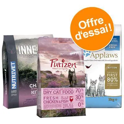 Offre découverte : marques premium sans céréales pour chaton