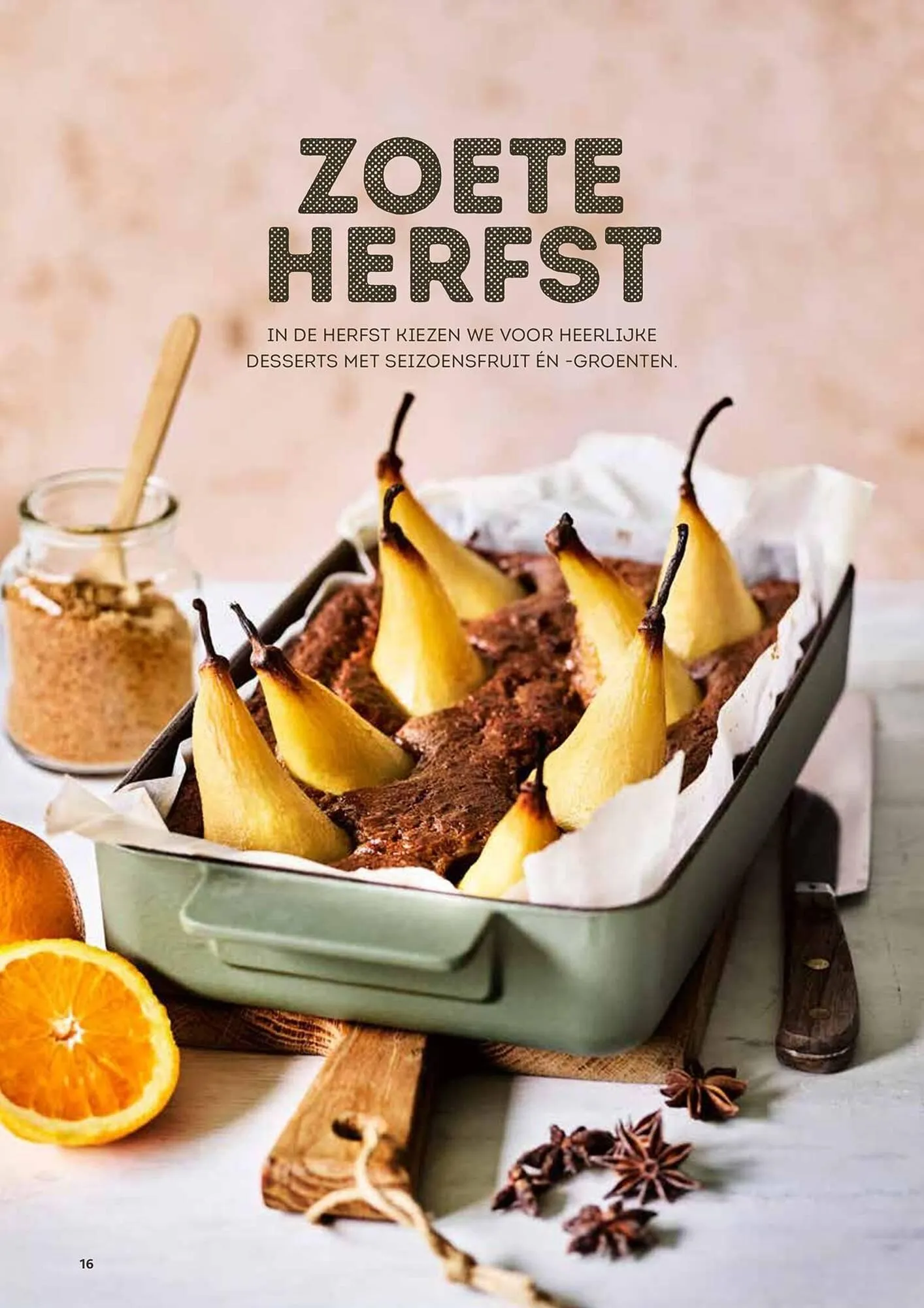 Alvo folder van 8 oktober tot 30 november 2025 - folder pagina 16