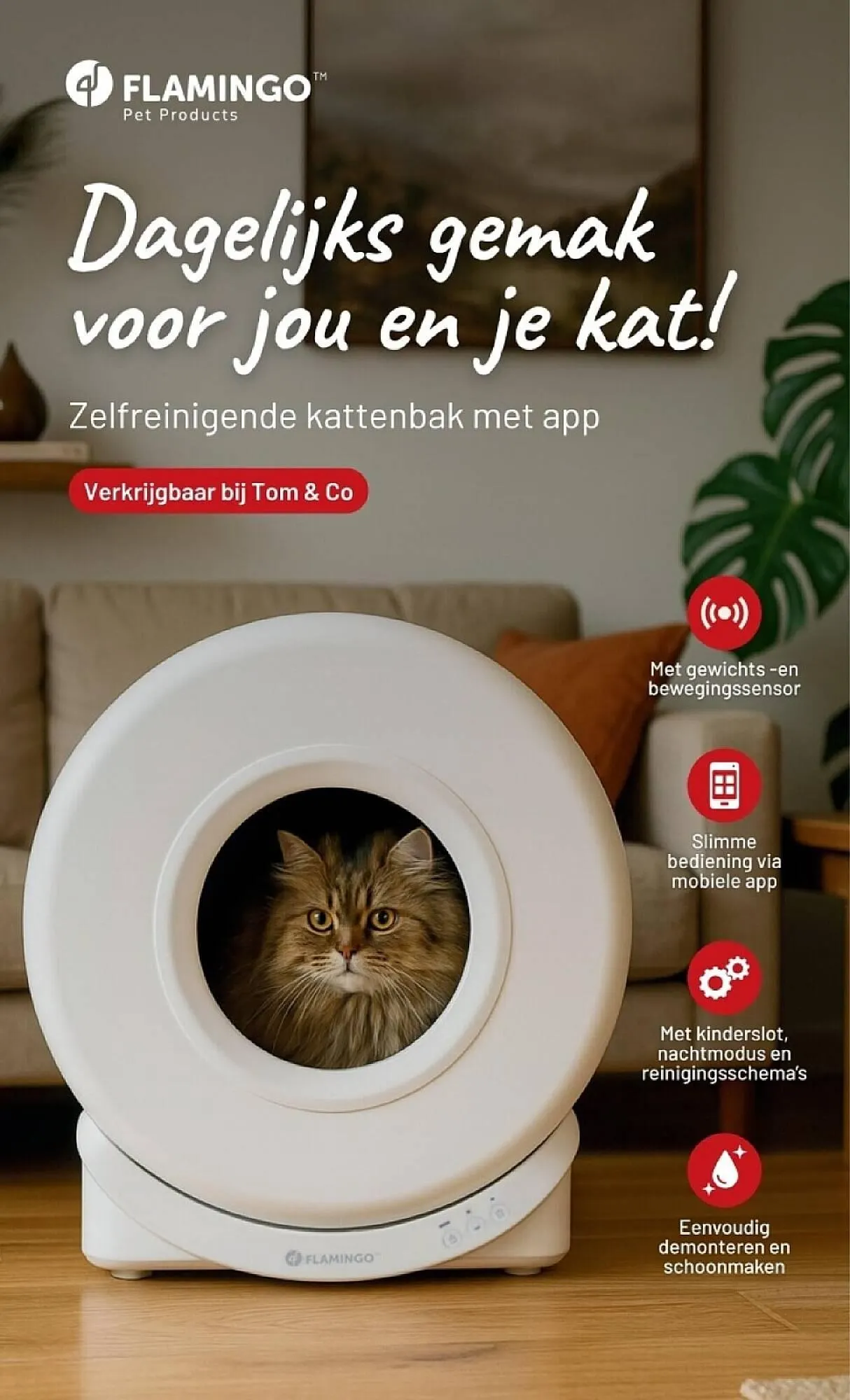 Tom&Co folder van 17 december tot 28 december 2025 - folder pagina 8