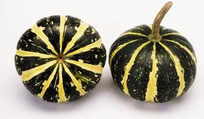 Sierkalebas (Cucurbita 'Flatt Striped') D 10 cm