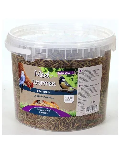Esve Meelwormen In Emmer - Voer - 1.1 kg