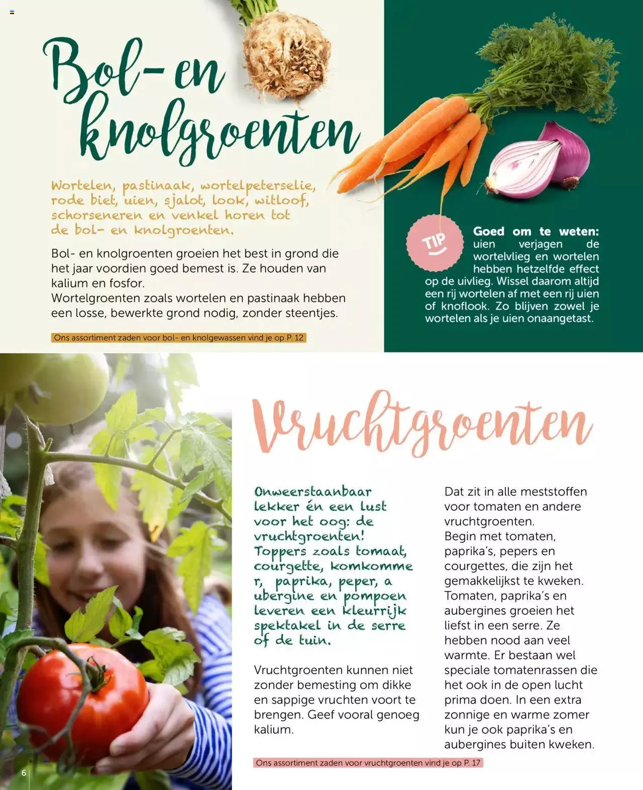 Aveve groente- en kruidengids van 31 december tot 31 december 2023 - folder pagina 6
