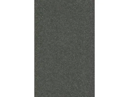 Werkblad W303 250x60x3 cm zwart graniet