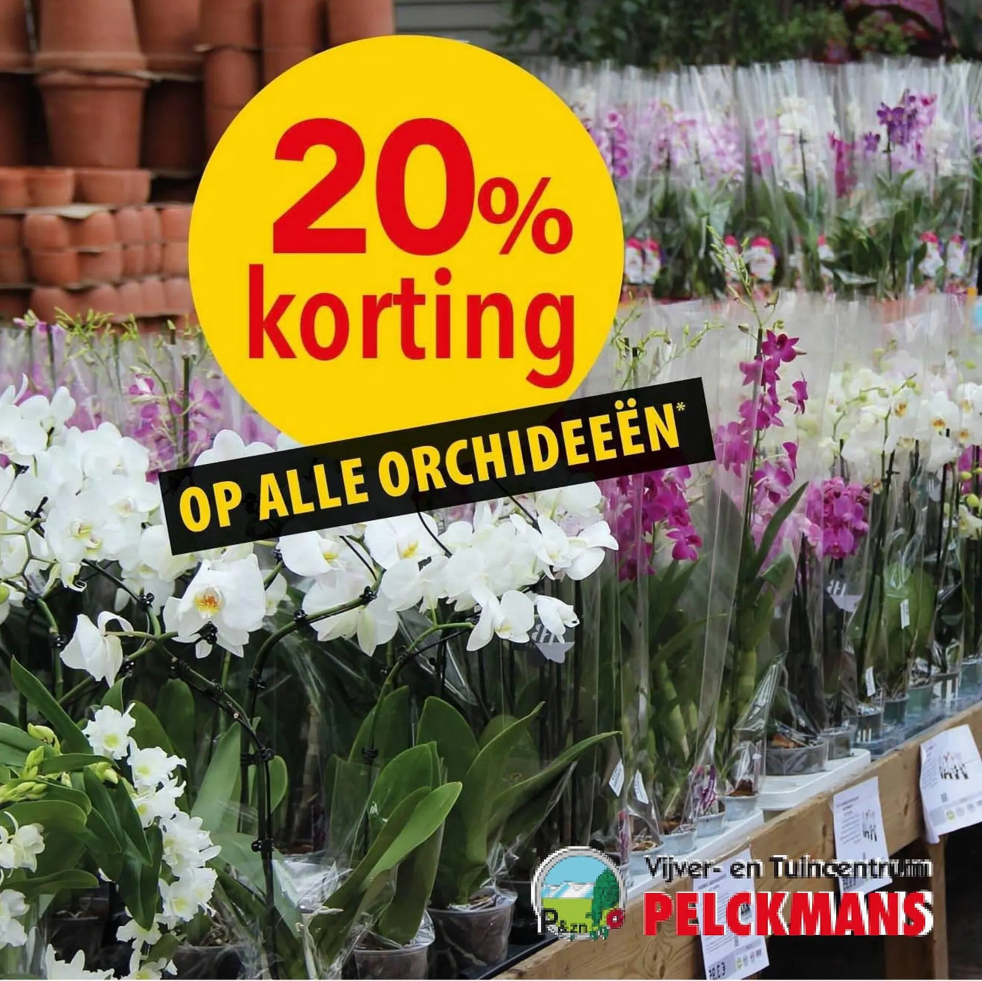 Pelckmans Folder - 1