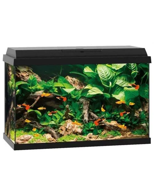 Juwel Aquarium Primo 70 61x31x44 cm - Aquaria