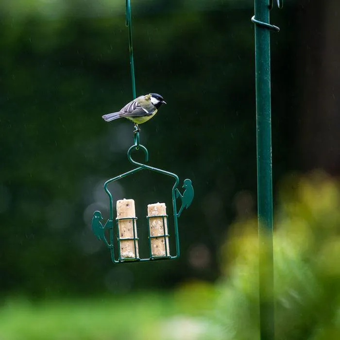 Startpakket Energierolhanger met 6 energierollen