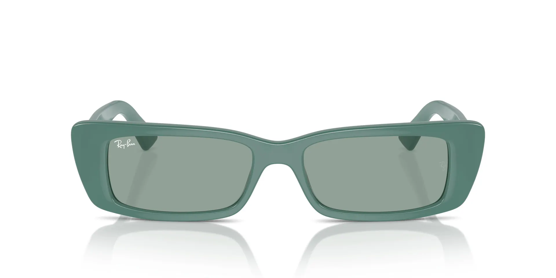 RAY-BAN Teru Bio-Based RB4425 676282