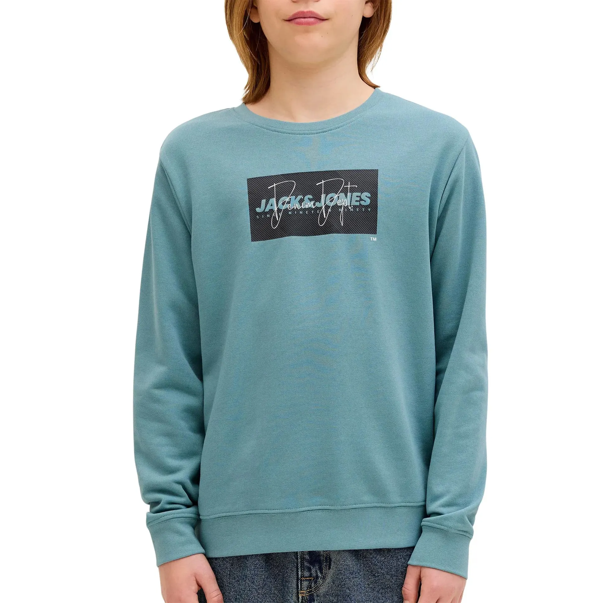 Cole Print Crew Sweater Junior