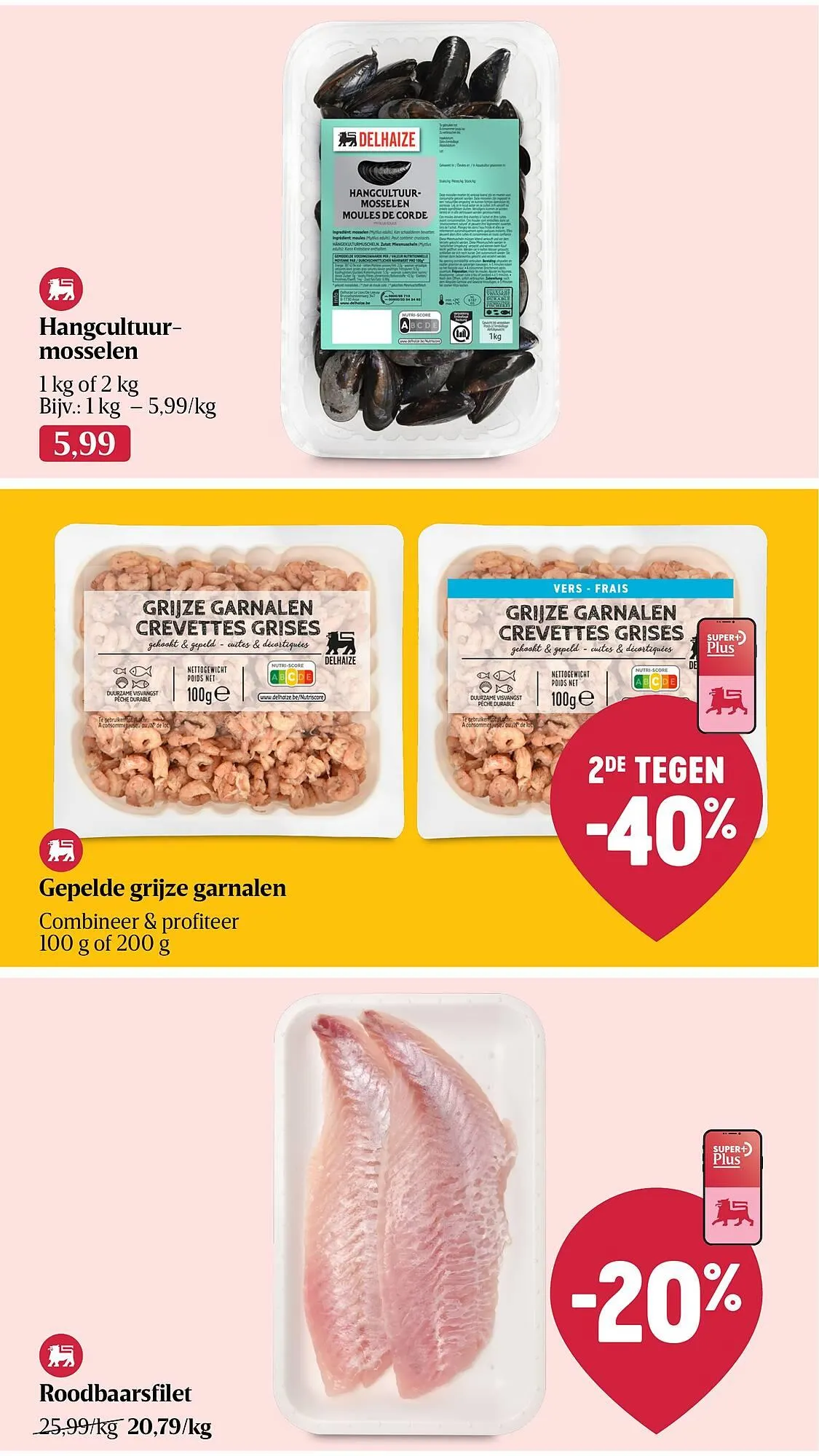 AD Delhaize folder van 13 mei tot 19 mei 2026 - folder pagina 17