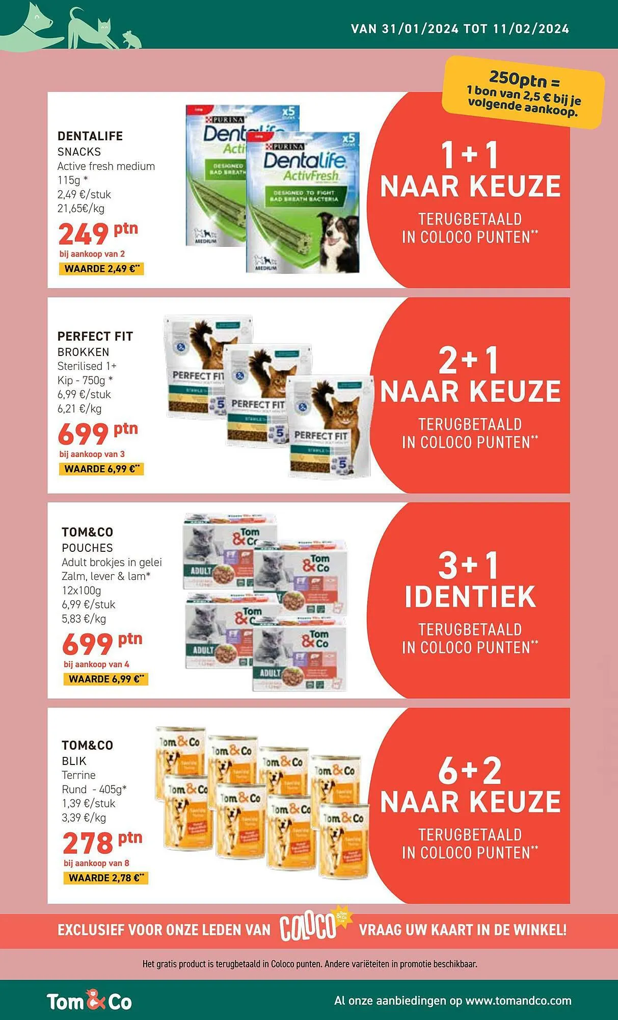 Tom&Co folder van 31 januari tot 11 februari 2024 - folder pagina 4