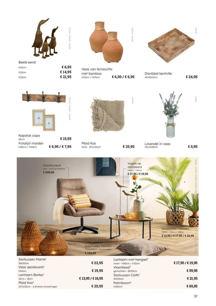 Tuinmagazine van 8 mei tot 30 juni 2024 - folder pagina 37