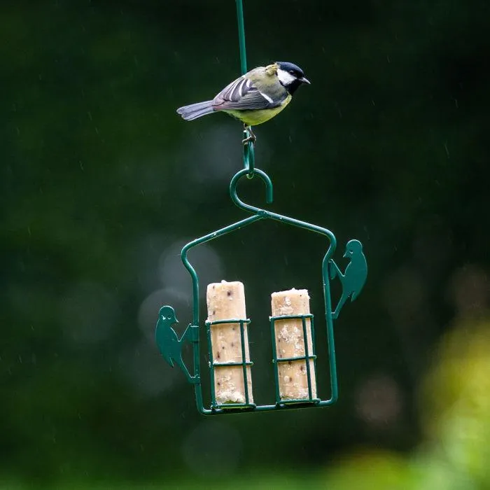 Energierollen met insectenvet - 6 stuks