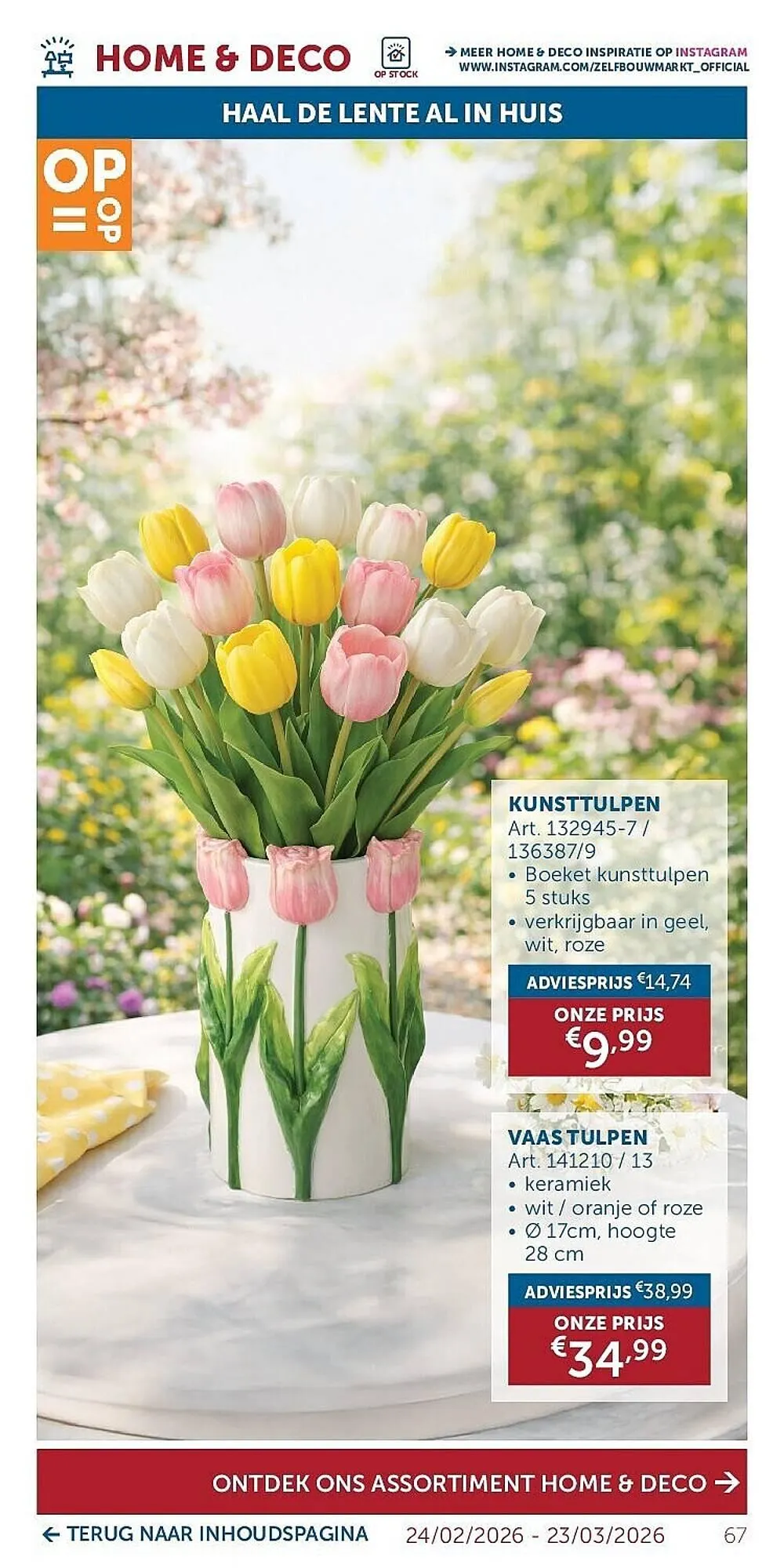 Zelfbouwmarkt folder van 24 februari tot 23 maart 2026 - folder pagina 67